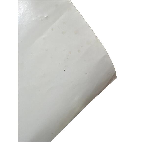 VTG San Diego Zoo Koala Poster Frye & Smith Studios 1960s Offset California READ - Picture 15 of 16